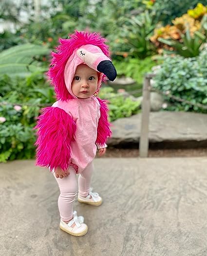 Adorable Halloween Costume Ideas For Baby Girls