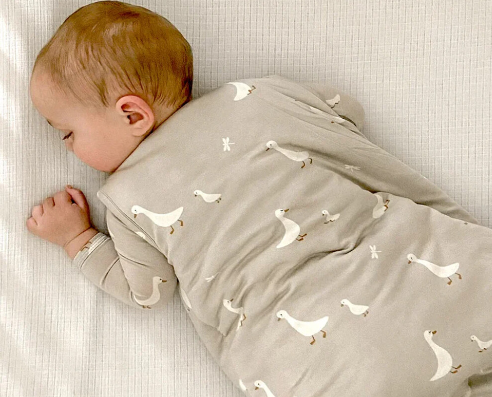 Baby Fleece Sleep Sacks With Sleeves