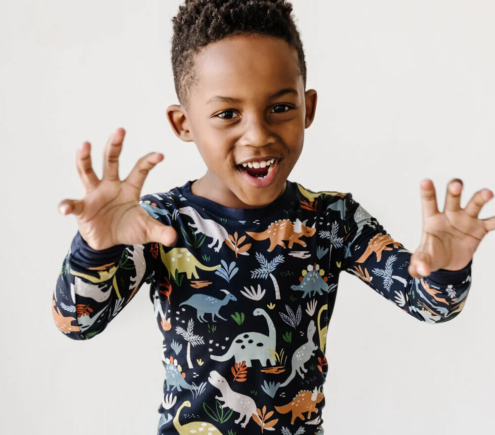 toddler boys dinosaur pajamas