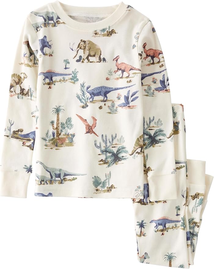 toddler boys dinosaur pajamas